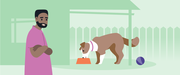 Caring for Pets