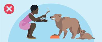 Dog Safety Tips for Children