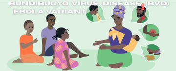 NEW Banner Ebola BVD (ENG)