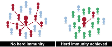 Immunity.png