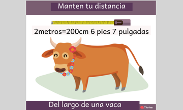 Del largo de una vaca.png