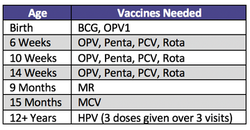 Immunization Schedule